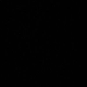 Meet your Posher, Addison